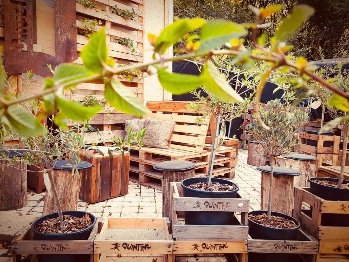 Bosbaar Bed & Breakfast Kluisbergen Dış mekan fotoğraf